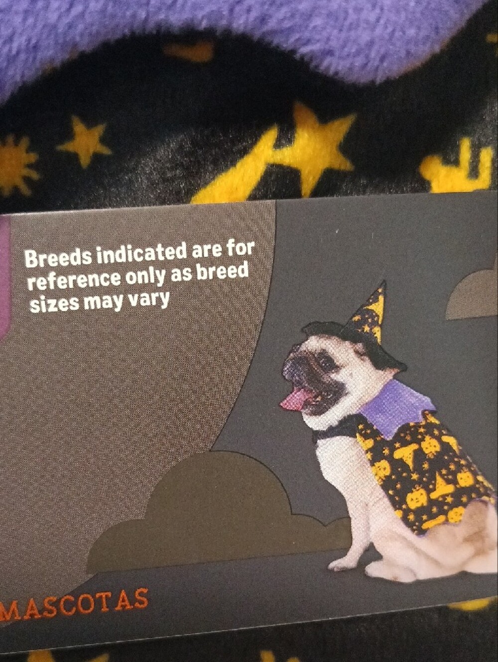 Halloween Bundle : Costume For Dog Size M And 3 Balls